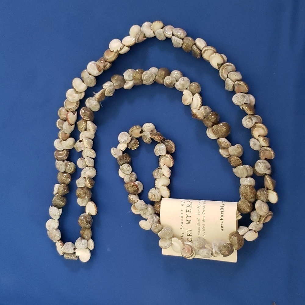 Mini Nautilus shells loop necklace, single strand, coastal nautical, 17 inches